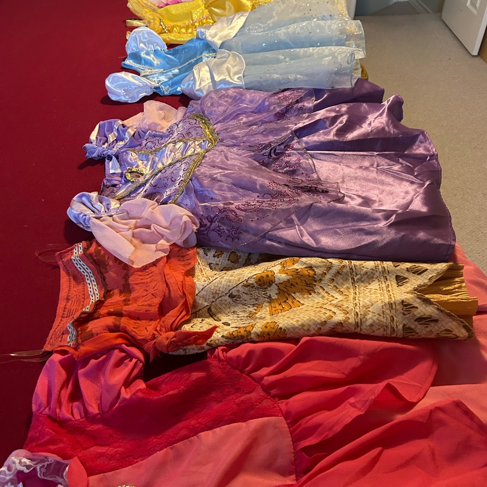 Disney Princess Kids Costumes - Purple, Blue, Yellow, Red